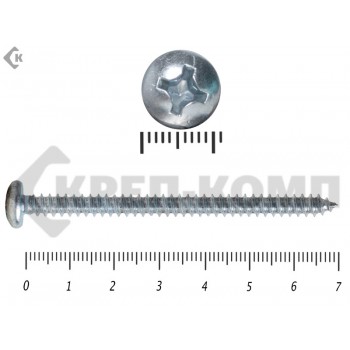 Шуруп с полукруглой головкой DIN7981 5,5х70 Малая фасовка (12шт) Prokrep