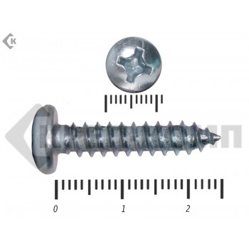 Шуруп с полукруглой головкой DIN7981 5,5х25 Малая фасовка (40шт) Prokrep
